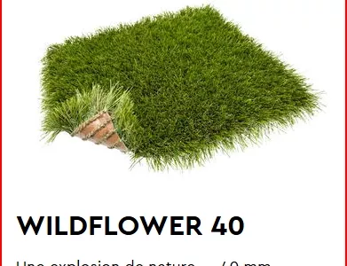WILDFLOWER 40