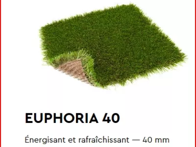 EUPHORIA