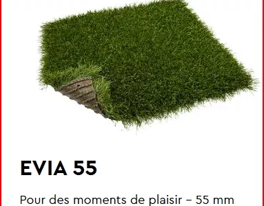 EVIA 55 -130