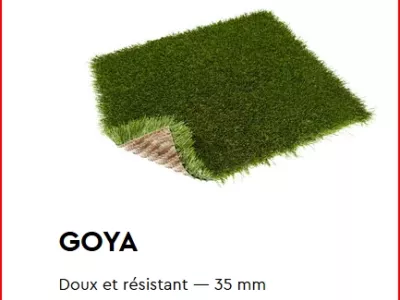 GOYA